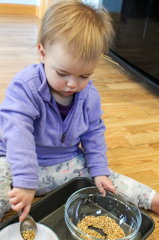 Visual Processing transfer skill girl playing moving grain from one bowl to another