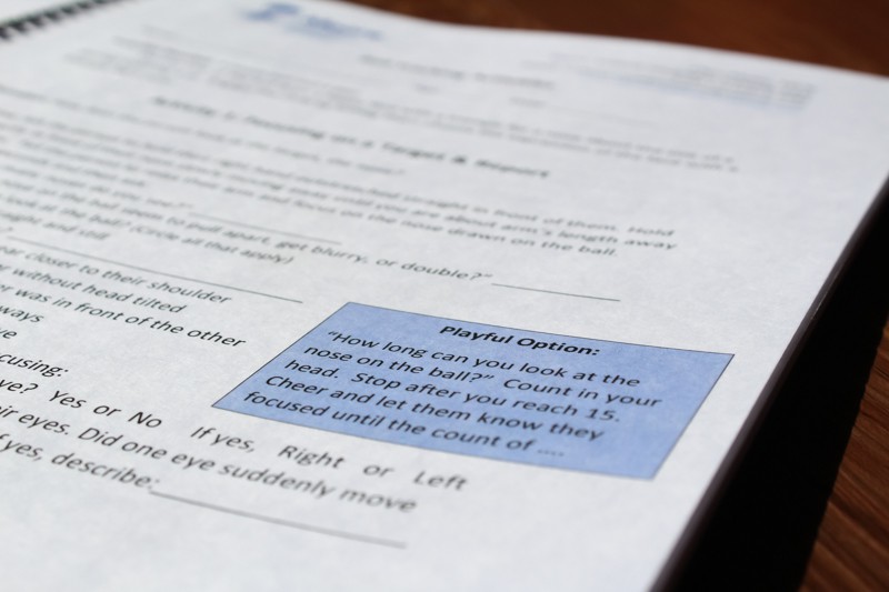 MAV observation booklet-6 shows playful option box in the auditory-visual activities