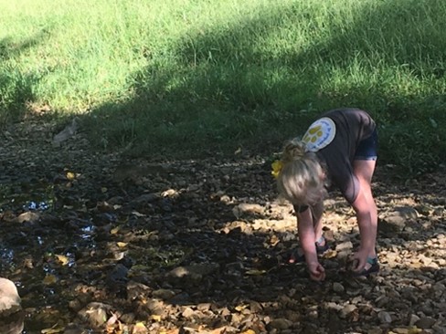 Young girl wearing shorts standing in a creek bed bending over collecting rocks.