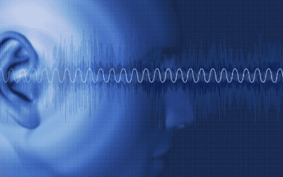 How Do I Know Which Sounds Are Harmful?