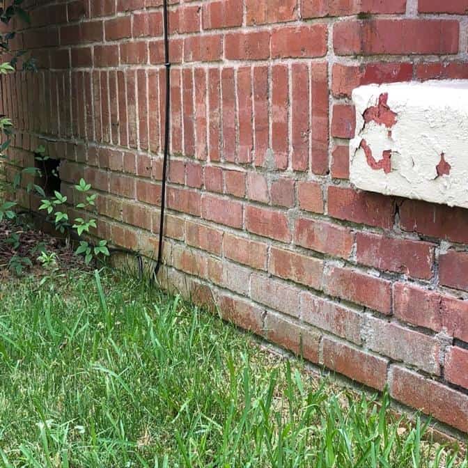 brick wall of a house. The red bricks towards the ground have a white penicillin mold film on them. 