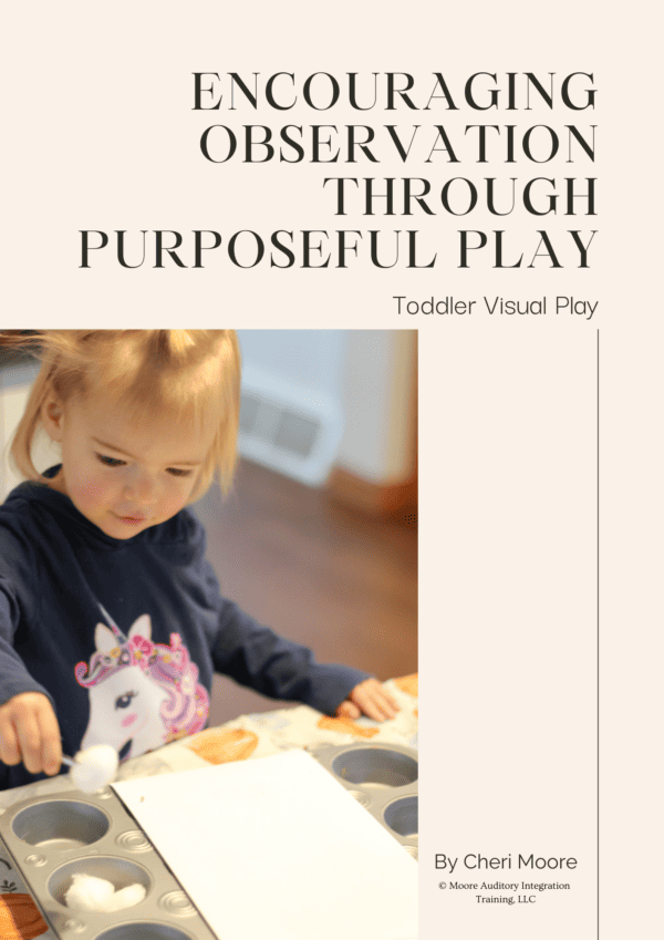 Encouraging Observation Through Purposeful Play: Toddler Visual Play booklet cover page