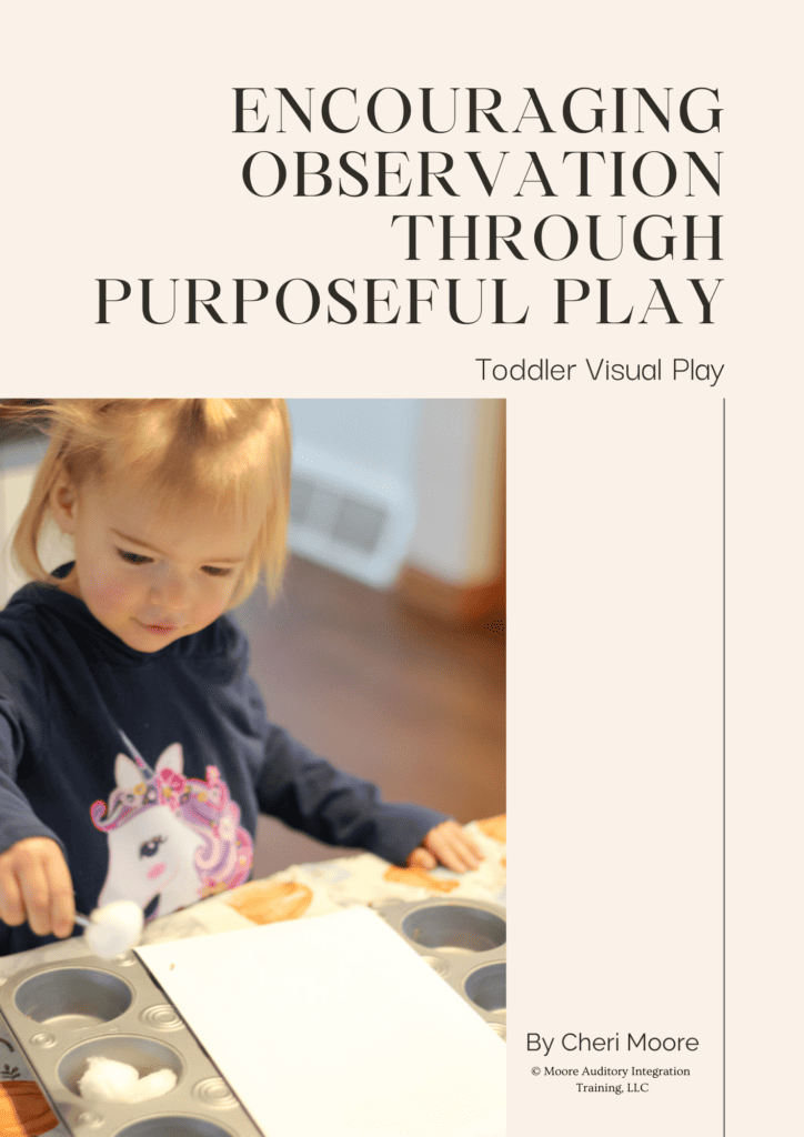 Encouraging Observation Through Purposeful Play: Toddler Visual Play