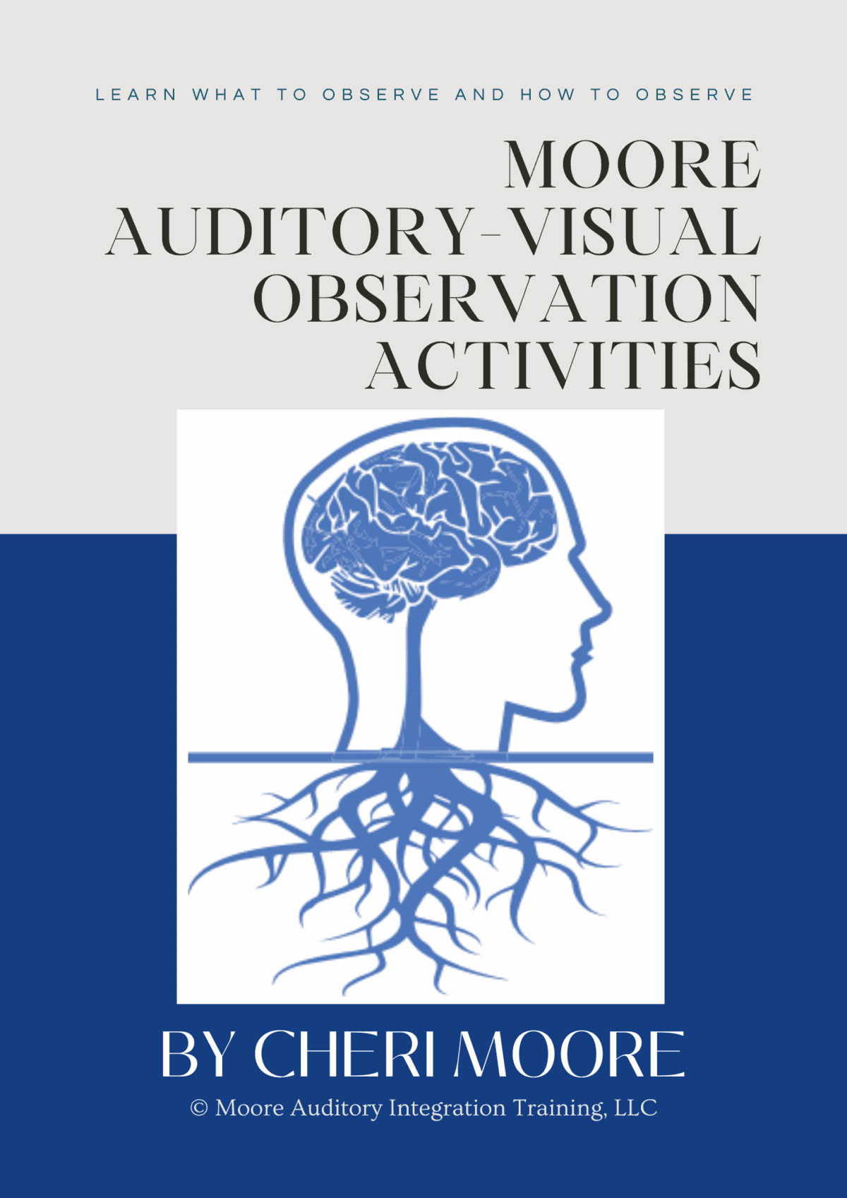 MAv observation activities cover page of moore auditory observation booklet
