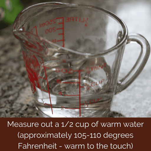 one cup glass measuring cup with a half cup of warm water. 