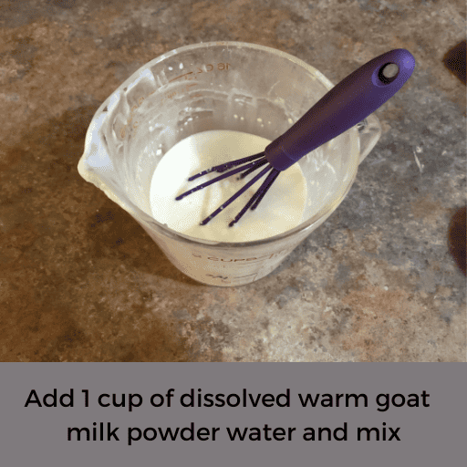 warm goat milk in a measuring cup with a purple whisk