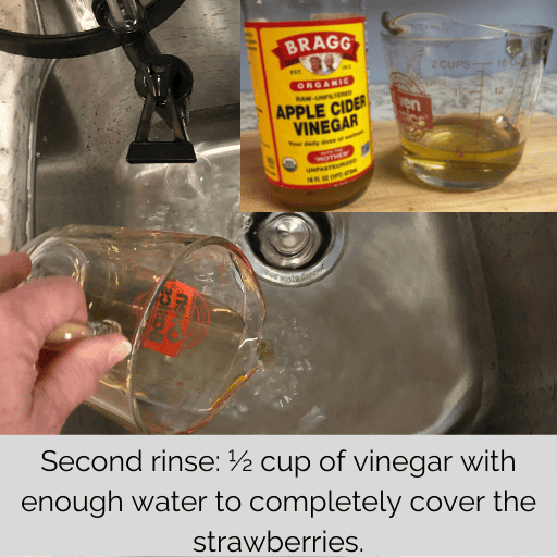 adding apple cider vinegar to a sink full of water
