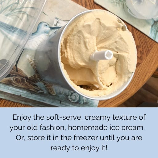 soft serve peach homemade ice cream