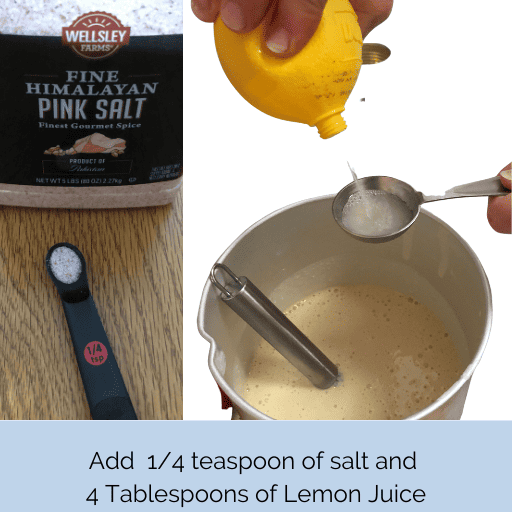 Adding salt and lemon juice to Ice cream mixture