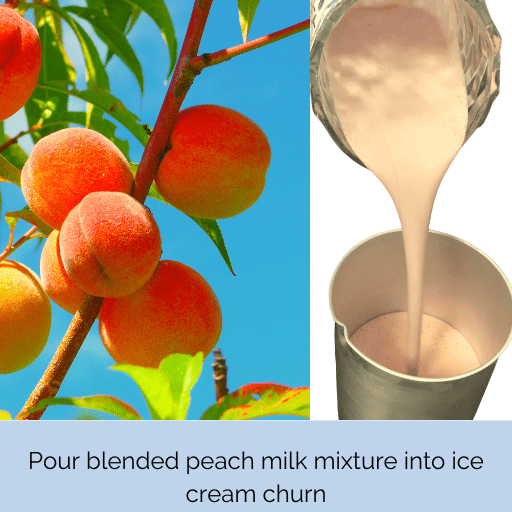 Blended peach milk mixture