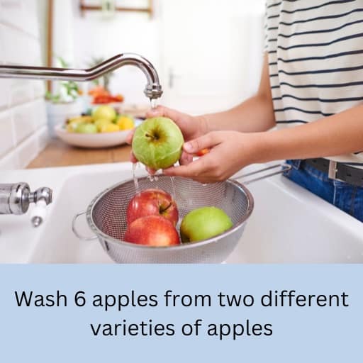 Wash 6 apples