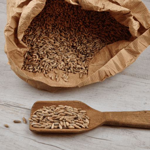 large brown bag of grain opened laying on its side with a wooden scoop of grain in front of it for food security