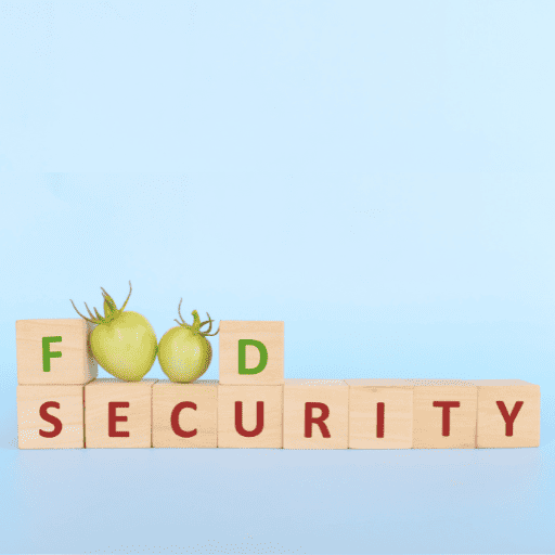 food security written on wooden blocks with the letter o in food as green tomatoes